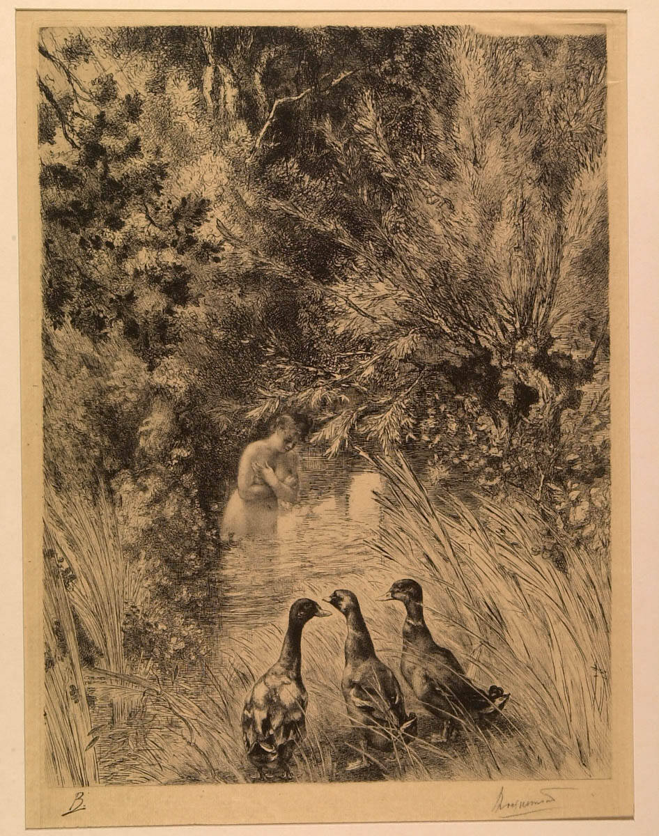 Ducks Surprised