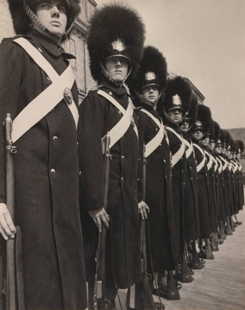 Honor guard of King of Denmark