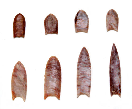 Set of Folsom Points