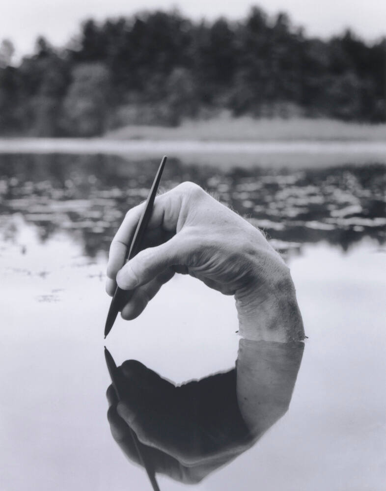 Fosters Pond