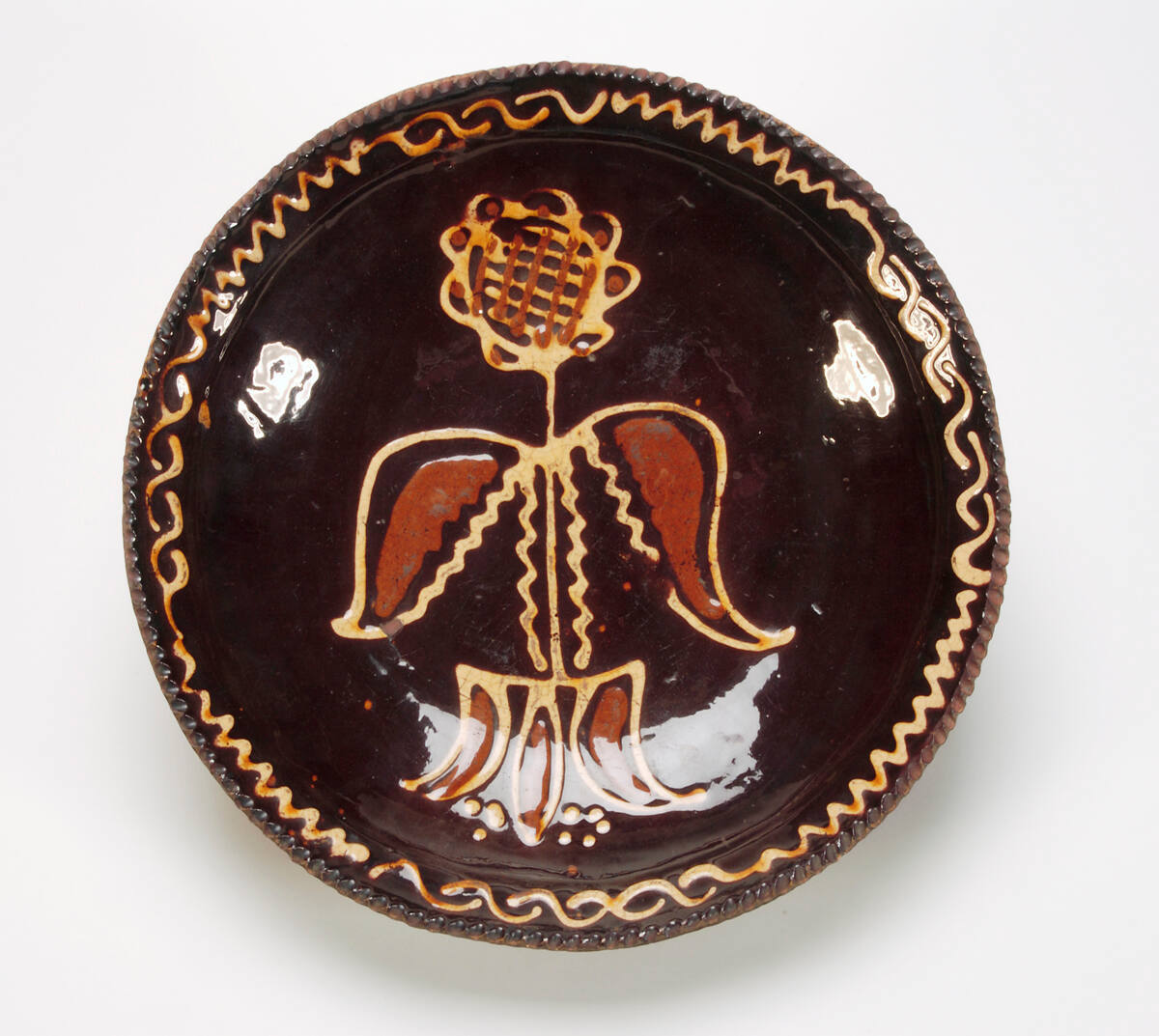 Dish
